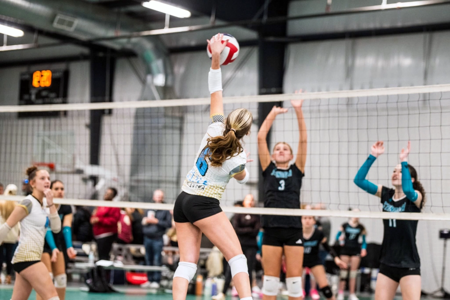 Elite Volleyball Club Homepage